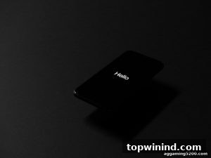 AG真人 topwinind