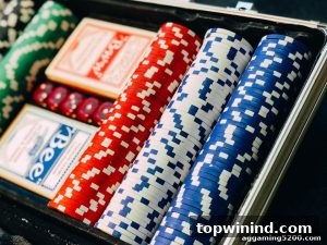 AG真人 topwinind