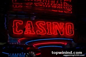 AG真人 topwinind