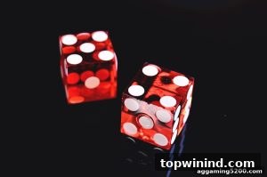 AG真人 topwinind